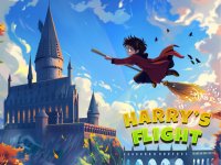 Harry's Flight Adventure Arcade Game