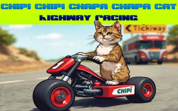 Feline Traffic Runner
