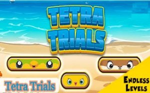Tetra Trials Block Match Puzzle