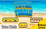 Tetra Trials Block Match Puzzle